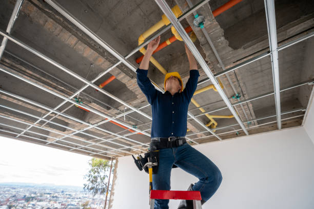Best Commercial Plumbing Services  in Sherrelwood, CO